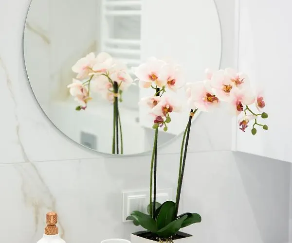 Whiteblue 41 Blizej Morza