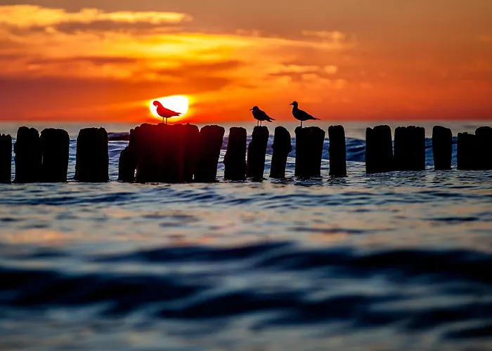 Whiteblue 41 Blizej Morza *