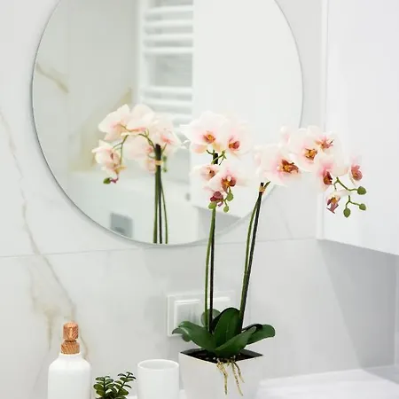 Whiteblue 41 Bliżej Morza